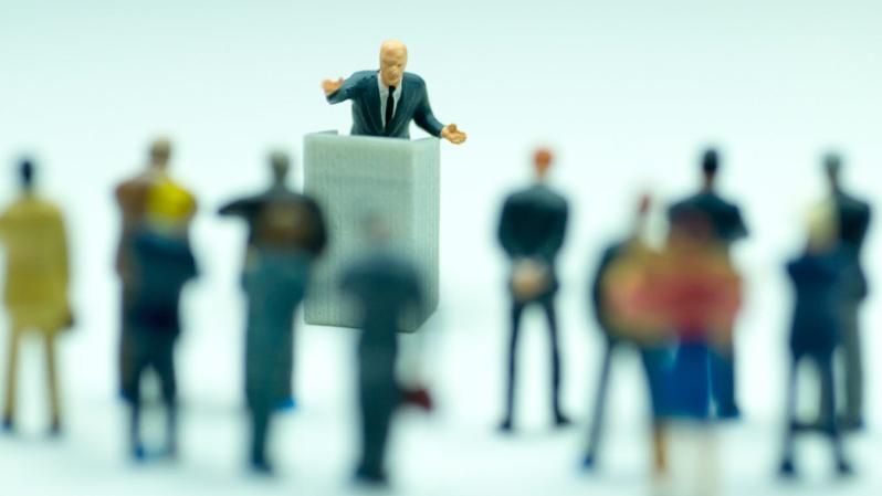 Political Marketing and Software Project Estimation: Managing Promises and Realities