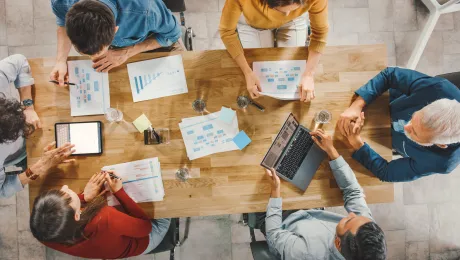 Top-down Software Project Estimation 