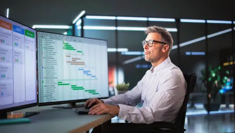 Fixed Schedule Software Project Estimation