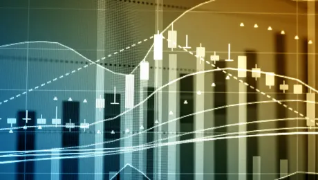 Top-down Software Project Estimation 
